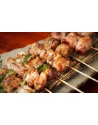PLANCHAS GRILL